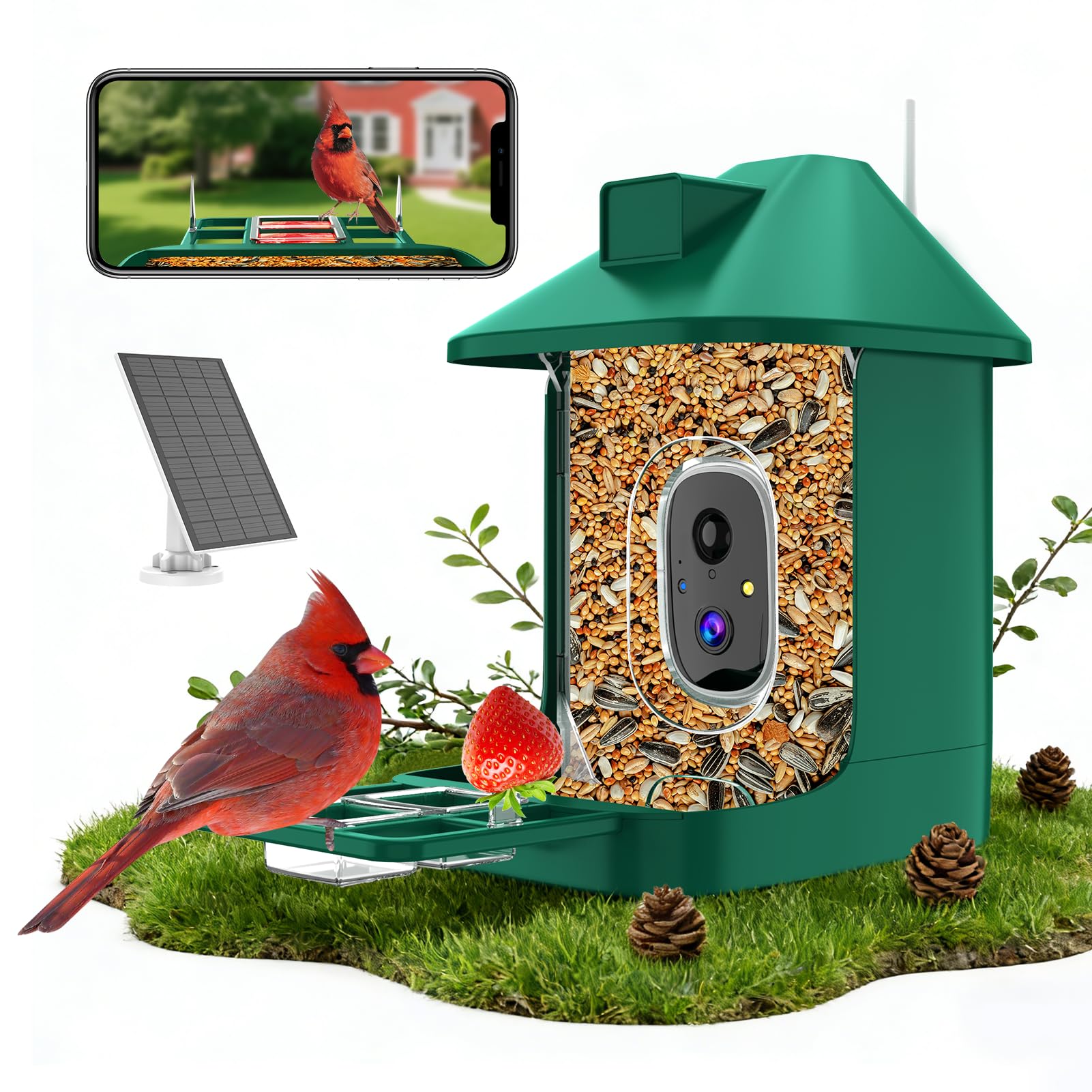 Vatjubi Bird Feeder with Camera