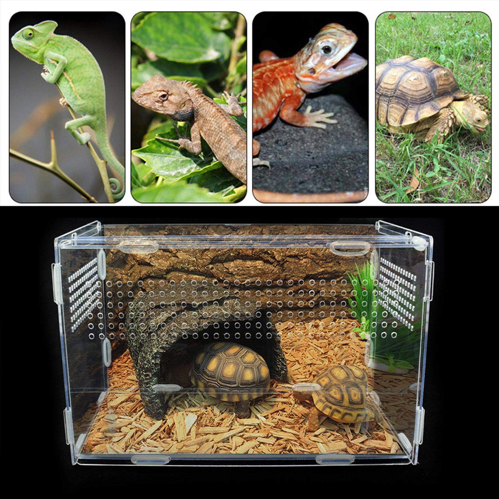 Aquarium/terrarium Pour Tortues Et Reptiles - Transparent Avec Zone De Bain De Soleil - Dimensions 37x18,9x13 Cm - 4