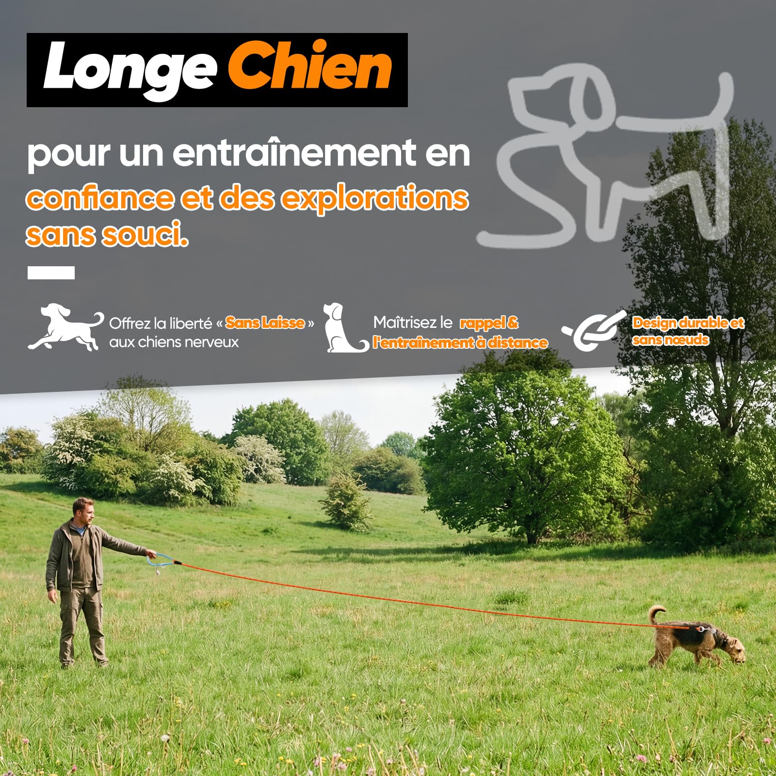 Aystkniet Longe pour Chien, 5M 10M 15M 20M 30M Laisse de Dressage avac Crochets Pivotants aux Deux Extrémités, Longue Laisse Corde d'attache pour Petits, Moyens, Grands Chiens (Orange, 5M * 8MM)
