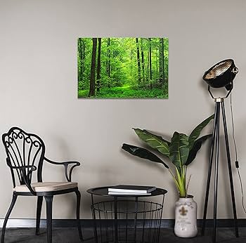 Amazon.co.jp: 森林 アートパネル 太陽の光 ポスター 壁掛け
