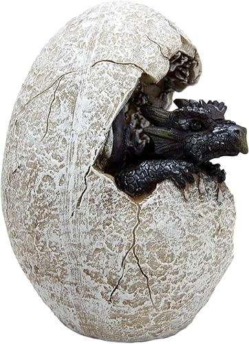 Miniatura 8 de Ebros Gift Fossil Raeon - Figura decorativa de dragón con luz del sol, diseño de cría de dragón que rompe de cáscara de huevo, 5 pulgadas de alto,