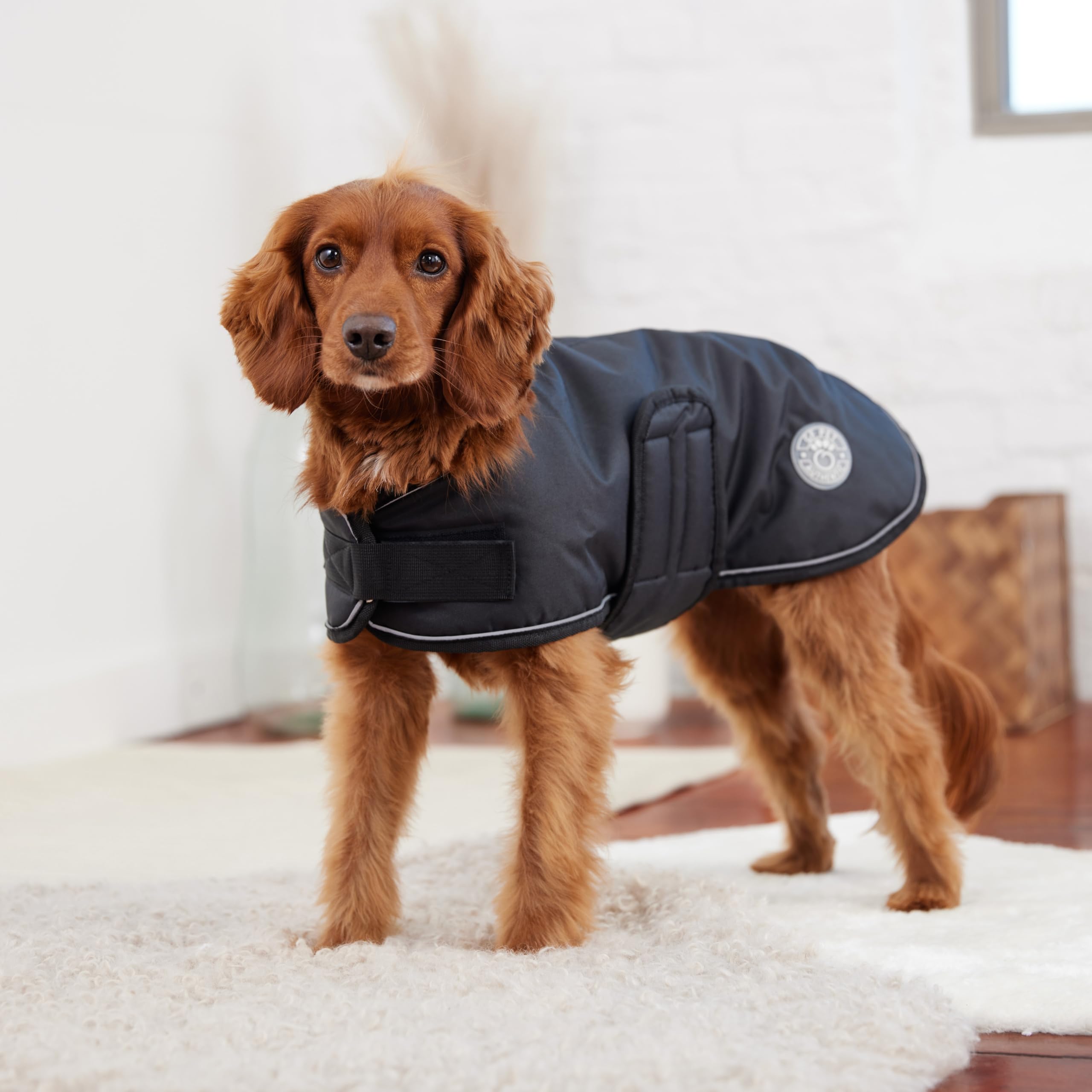 GF Pet Dog Raincoat Blanket Dog Jacket Warm Coat for Dogs Waterproof Fleece Lined Velcro Fasten Jacket - Black - XL - Image 3