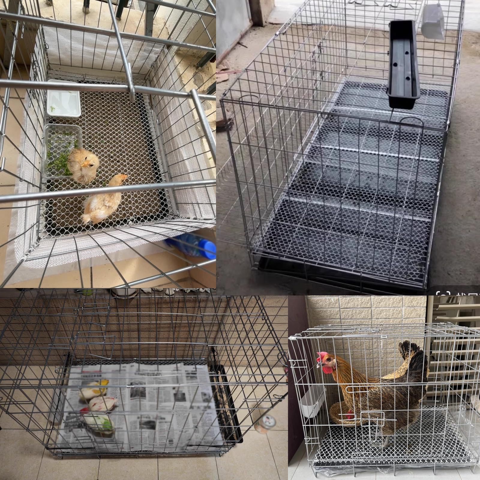 ニワトリかご トリ小屋 ニワトリ屋 犬屋 猫ハウス ペット アヒル