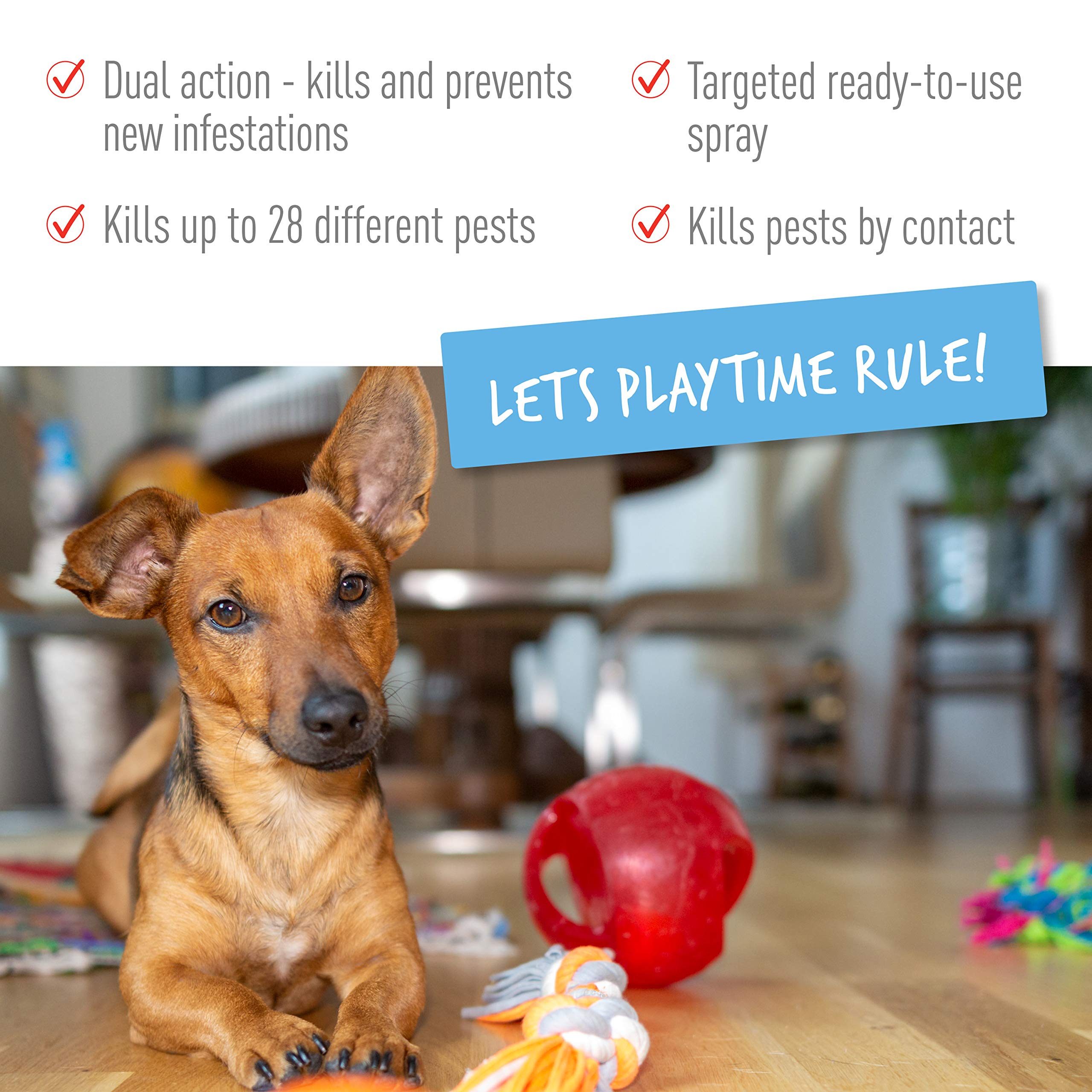 Buy Adams Flea & Tick Home Spray, Kills Fleas, Flea Eggs, Flea Larvae, Bed Bugs, Ticks, Ants