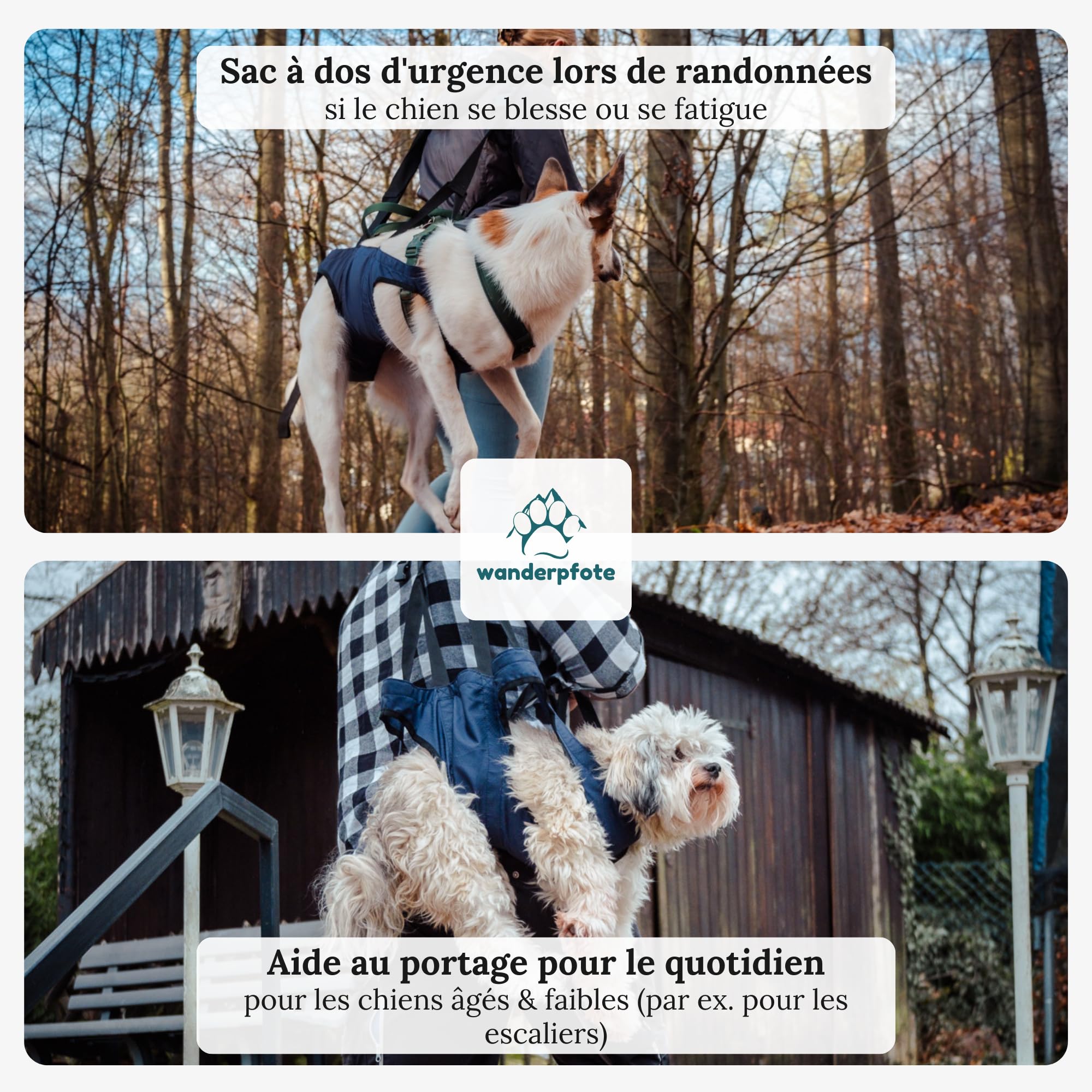 Aide au transport pour chien - Sac à dos d'urgence lors de randonnées ou sac de transport pour chien au quotidien dans les escaliers - Petit, léger, robuste, de qualité supérieure