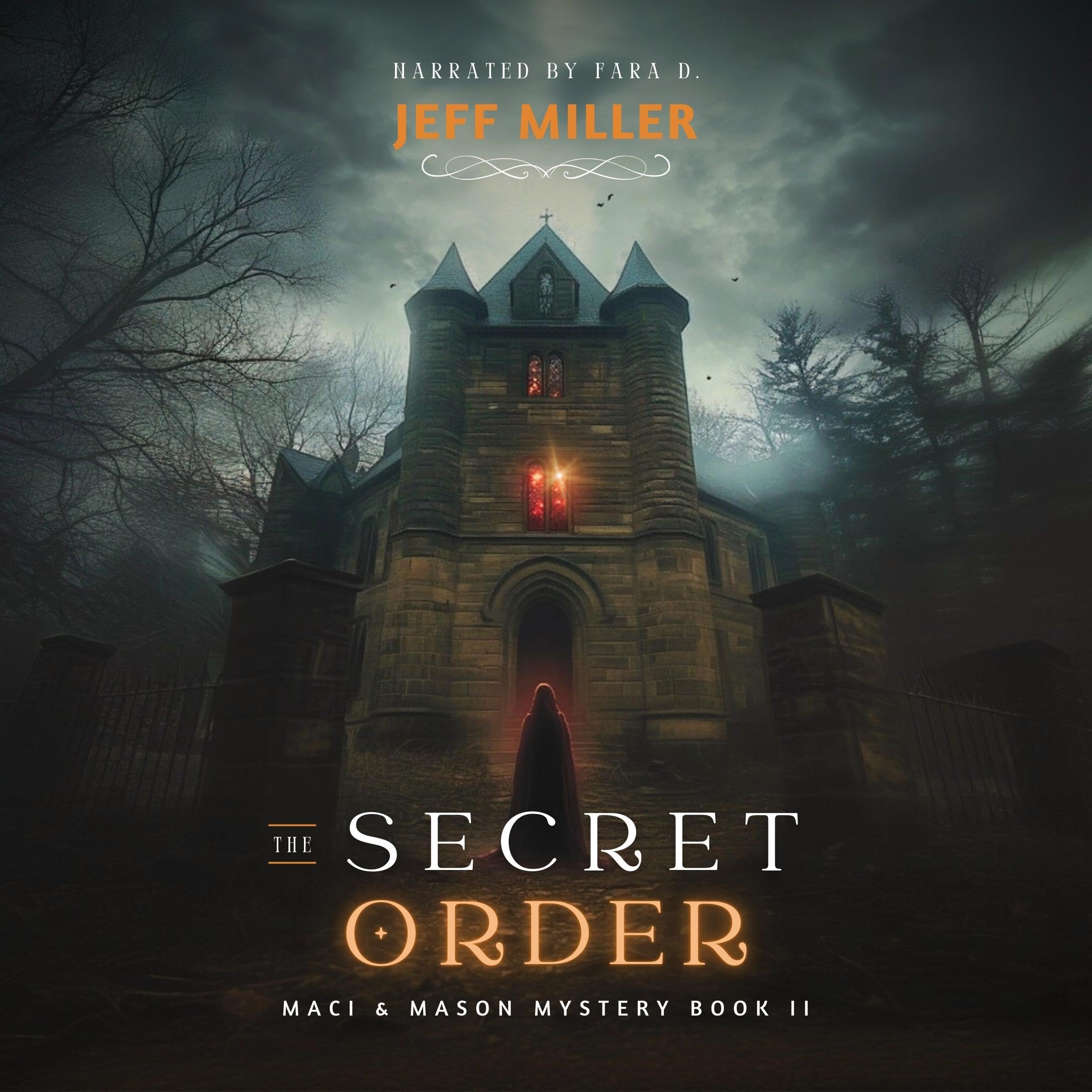 Cover art for The Secret Order