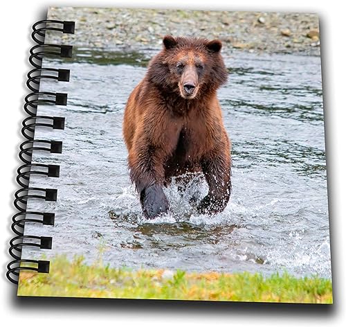 3dRose Brown Bear chases After a Salmon Dinner at Pack Creek. - Drawing Books (db-380598-3)