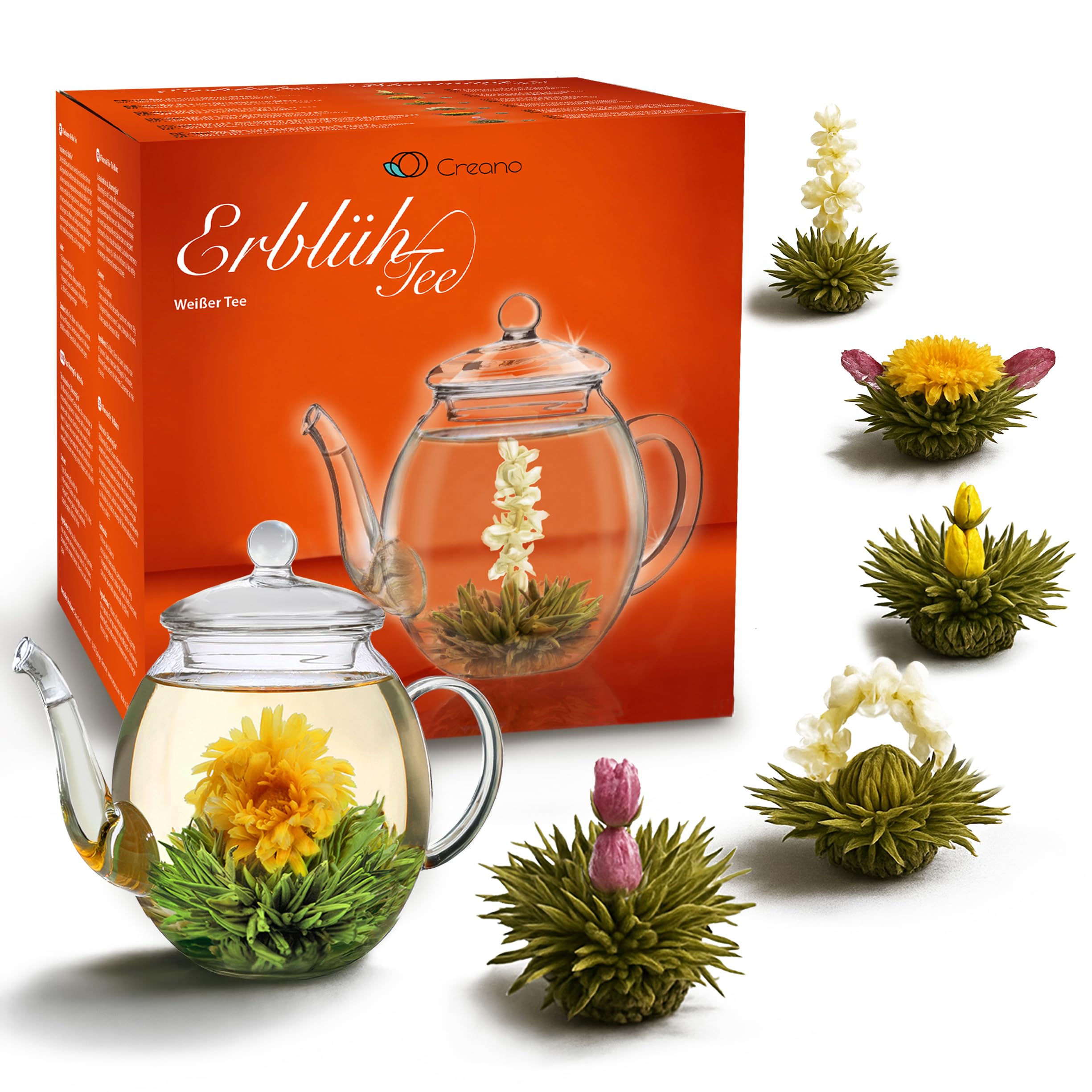 Creano Coffret „Récolte de Printemps“ 6 fleurs de thé – Théière en verre 500ml sans goutte – 6 variétés de thé blanc – Idée cadeau exceptionnelle – Verre borosilicate – Thé en Fleurs