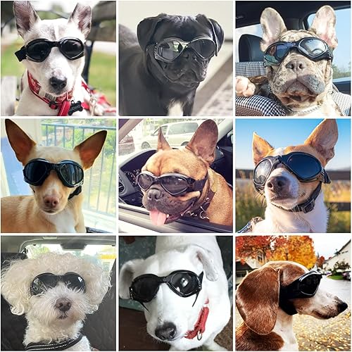 Miniatura 2 de NAMSAN Gafas de sol para perro, medianas, antirreflejos, antirrayos UV, para perros pequeños a medianos, gafas de motocicleta, gafas protectoras