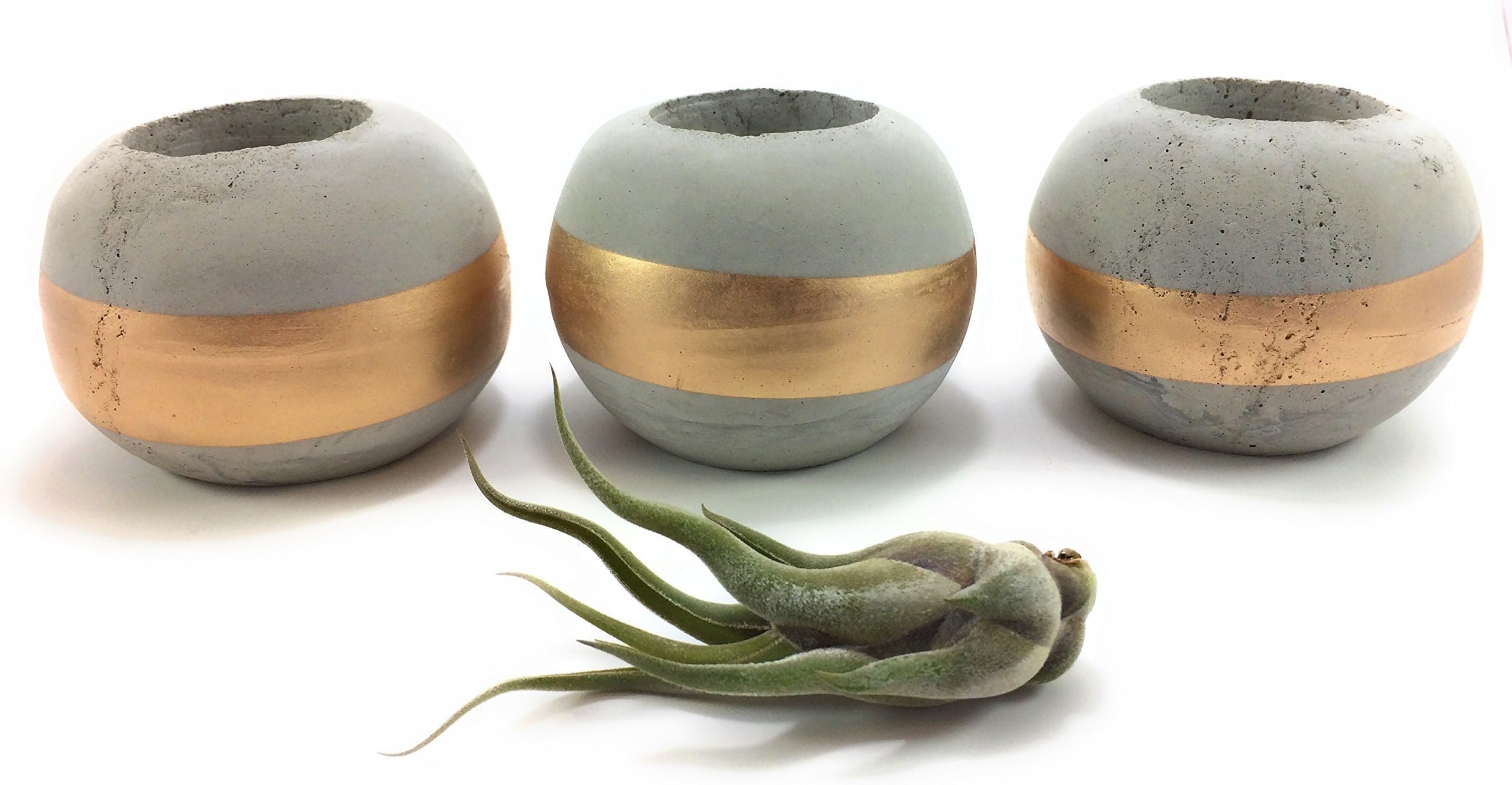 ORB Concrete Succulent Planters/Air Plant Holders (Set of 3) GOLD. Cement Succulent pots. Modern Planter set