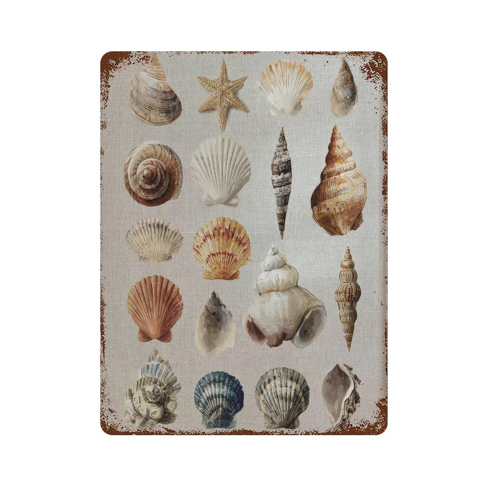 xiaoxiaoshen Seashells And Starfish. Botanical Wall Decor Art Metal Tin Poster Modern Home Decor Art Home Bar Shop Decorations Vintage Sign 40x30cm