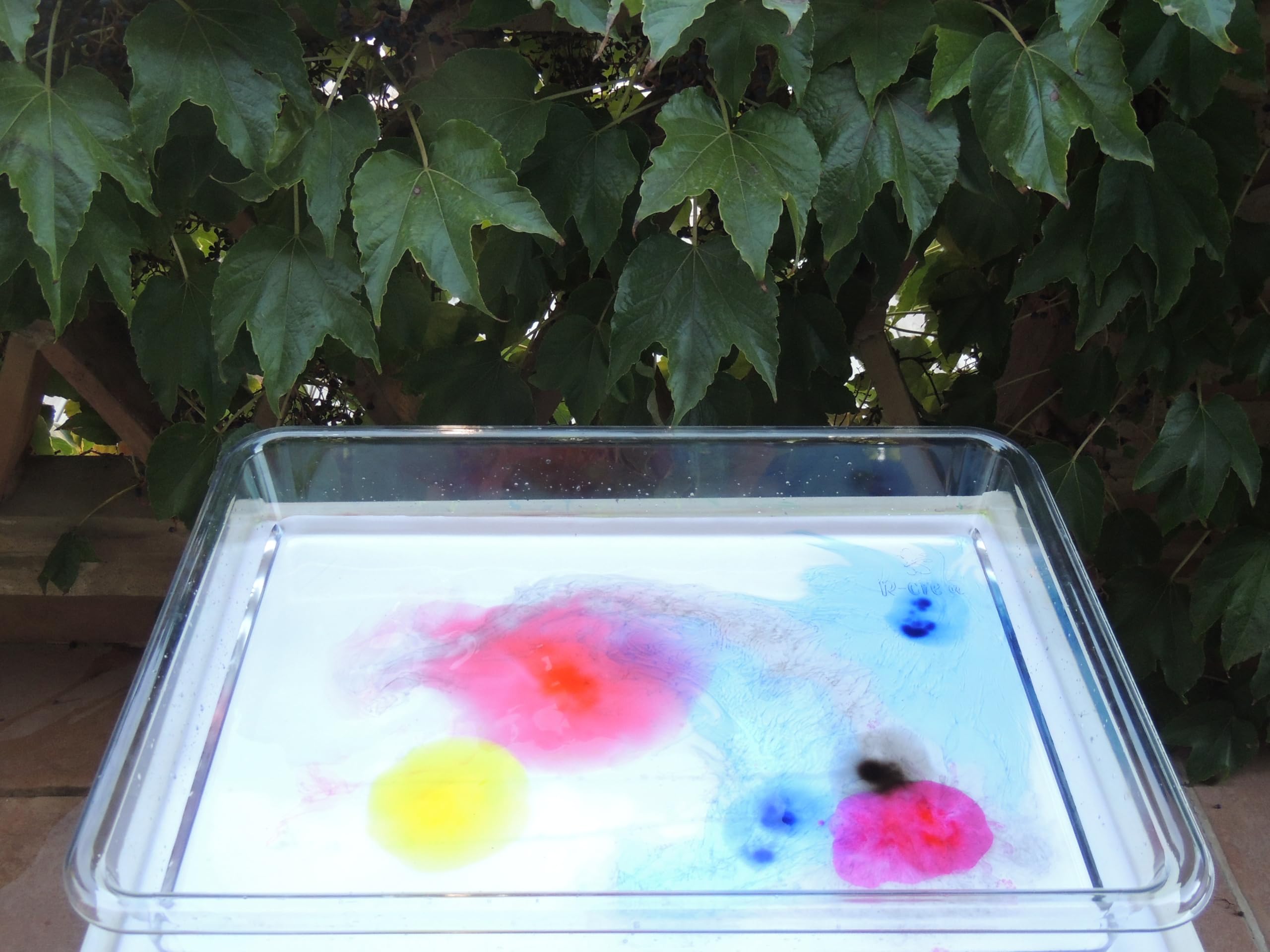 Vassoio di Esplorazione Montessori Trasparente A2 | PET Cristallo Resistente e Sicuro | Attività Sensoriali con Sabbia, Acqua e Colori | Educazione e Sviluppo Infantile