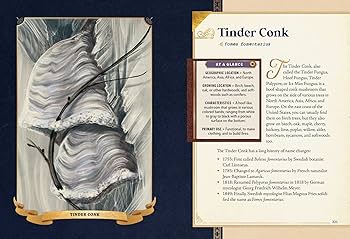 洋書 Mushrooms 715usAgPLIL._AC_UF350,