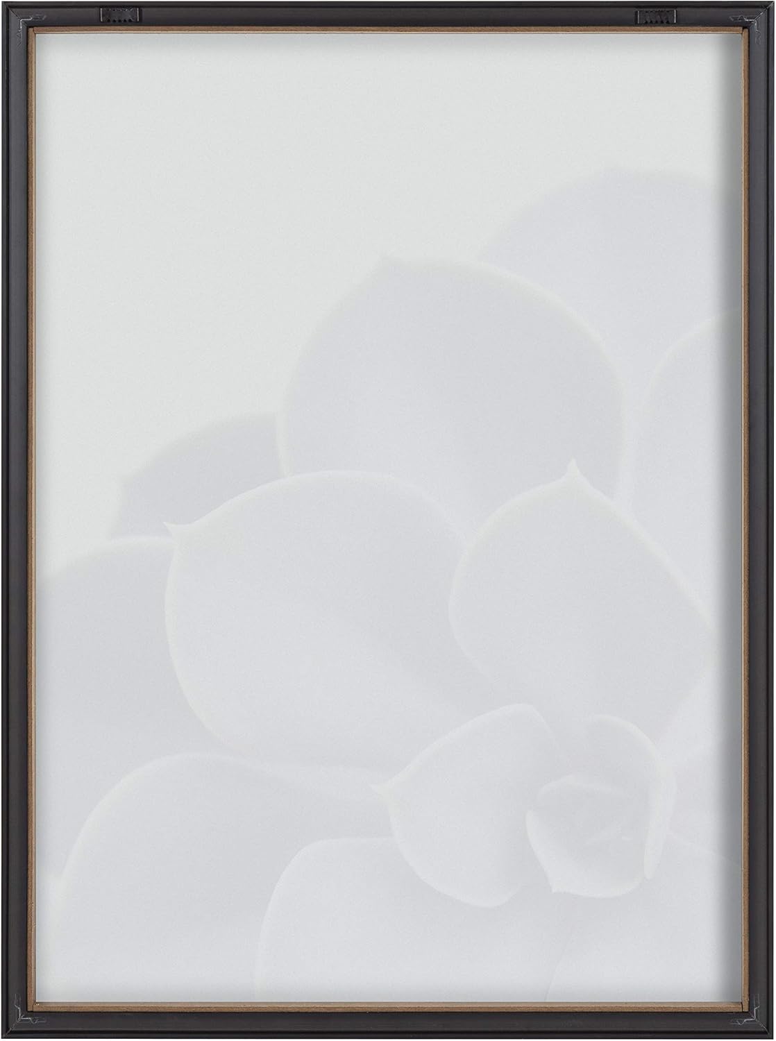 Kate and Laurel Blake Succulent 5 Framed Printed Glass Wall Art by Emiko and Mark Franzen of F2Images, 18x24 Gray, Decorative Plant Art for Wall