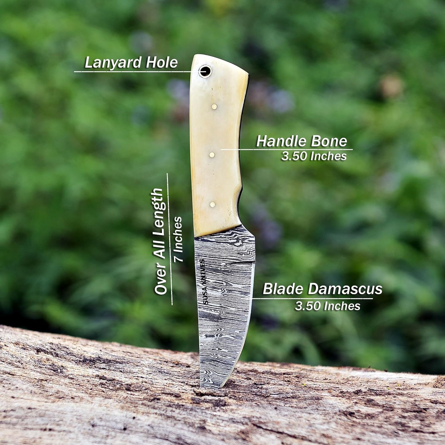 Custom Handmade 7'' fixed blade knife/Cow boy knife/Damascus steel Bull cutter knife, cowboy knives with pancake leather sheath