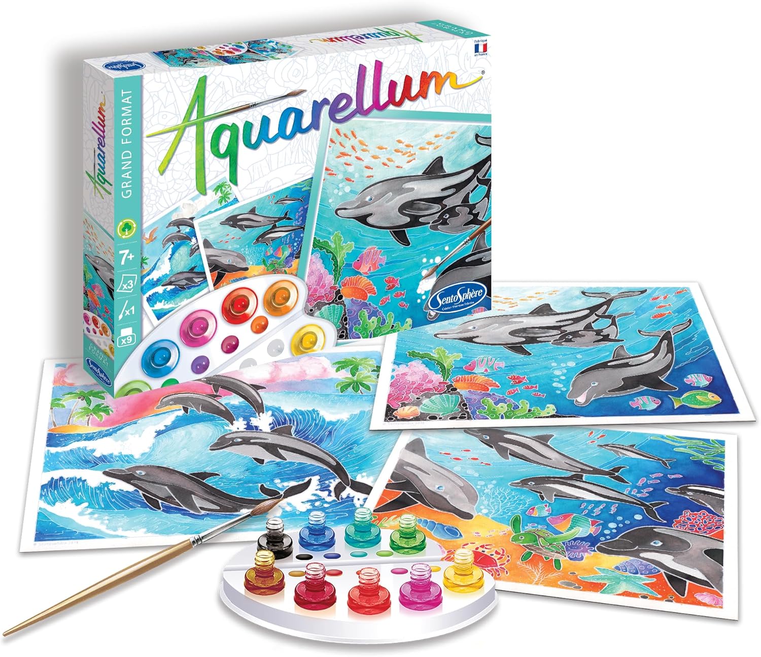 SentoSphere Aquarellum Large - Dolphins - Arts and Crafts Watercolor Paint Set