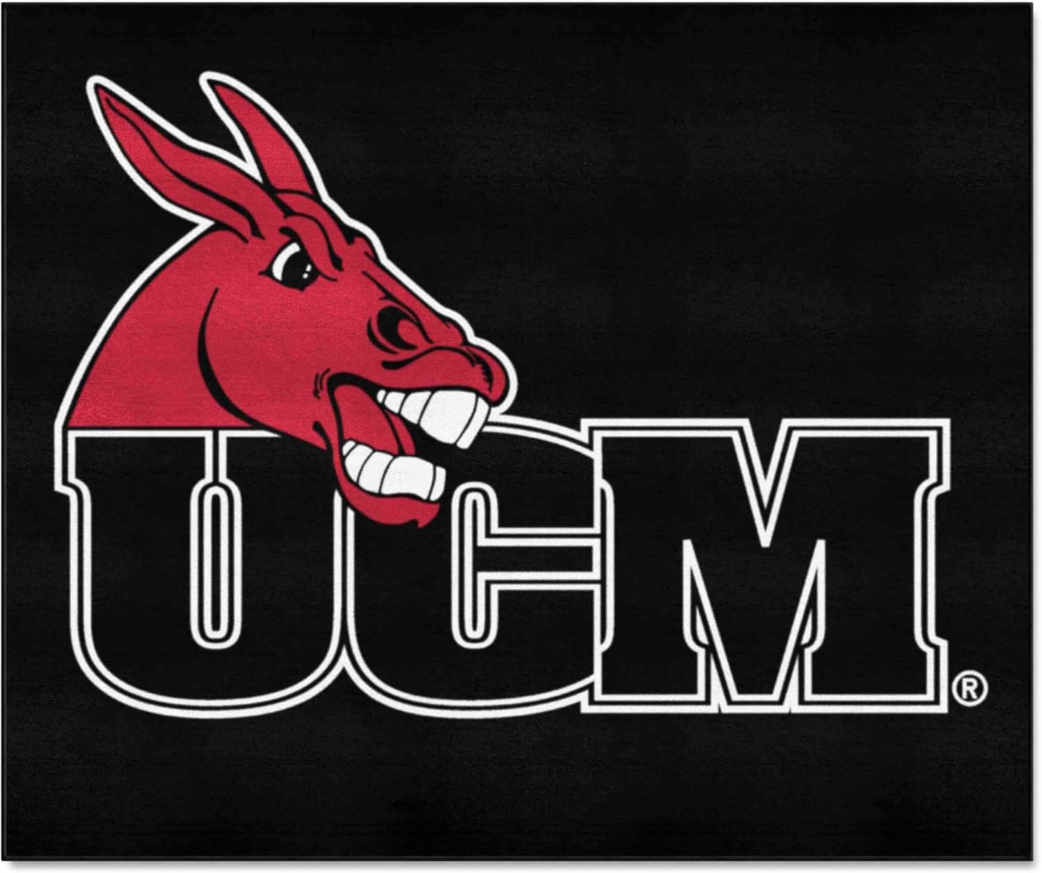 FANMATS 382 Central Missouri Mules Tailgater Rug - 5ft. x 6ft. Sports Fan Area Rug, Home Decor Rug and Tailgating Mat