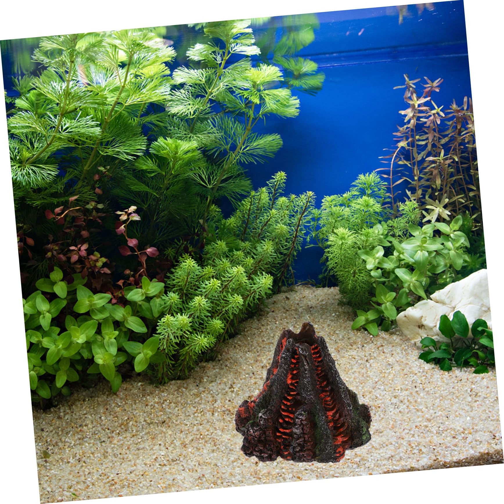 BESPORTBLE 2 Pièces Ornements D'Aménagement Paysager D'Aquarium Aquarium Aquarium Pompe Hydroponique Décorations D'Aquarium Aquarium Statue en Bois Décor Aquarium Disposition du