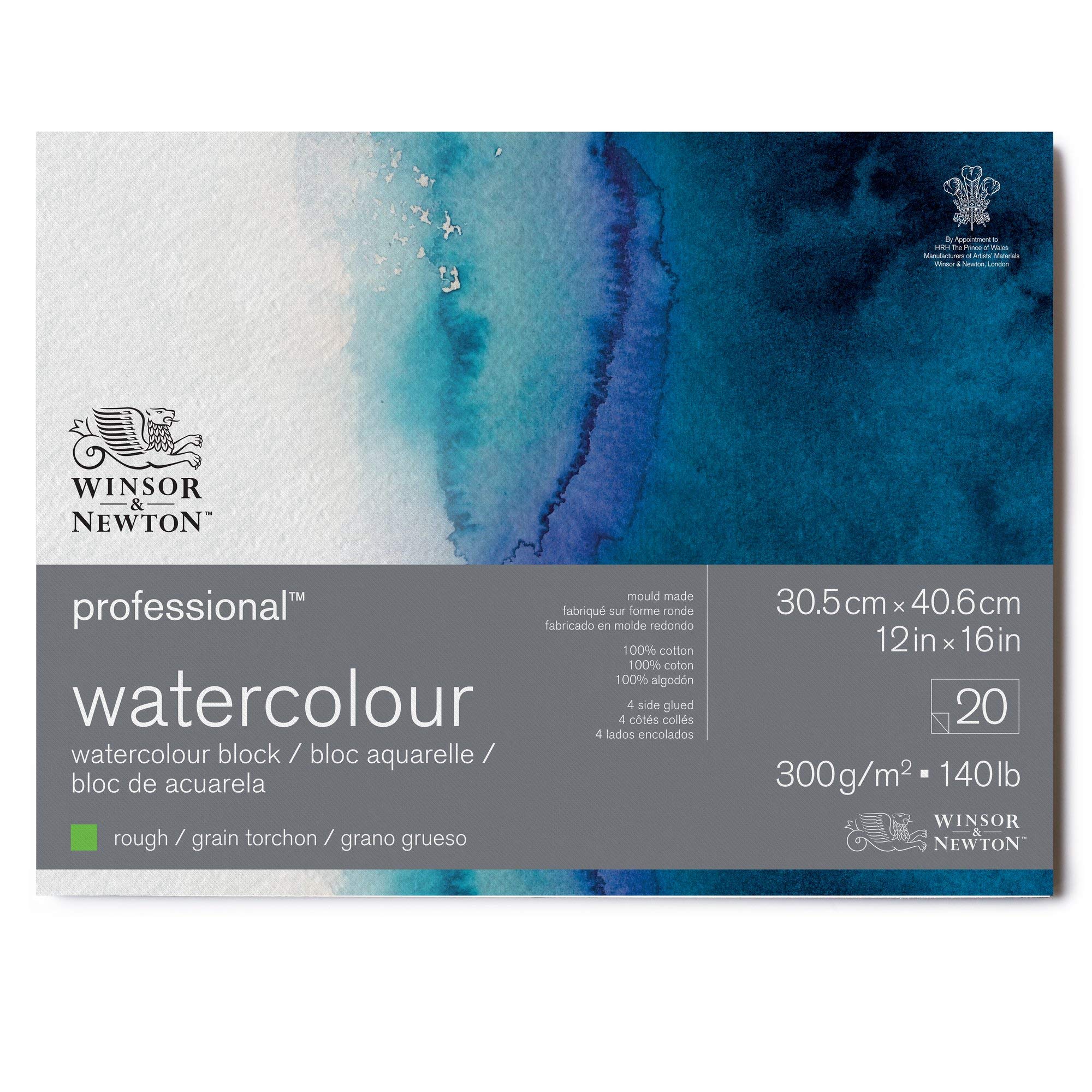 Winsor & Newton 6664012 Professional Aquarellpapier im Block - 20 Blatt 30,5 x 40,6cm, 300g/m², Grobkorn, helles natürliches weißes Papier in archivierbarer Qualität, gilbbeständig
