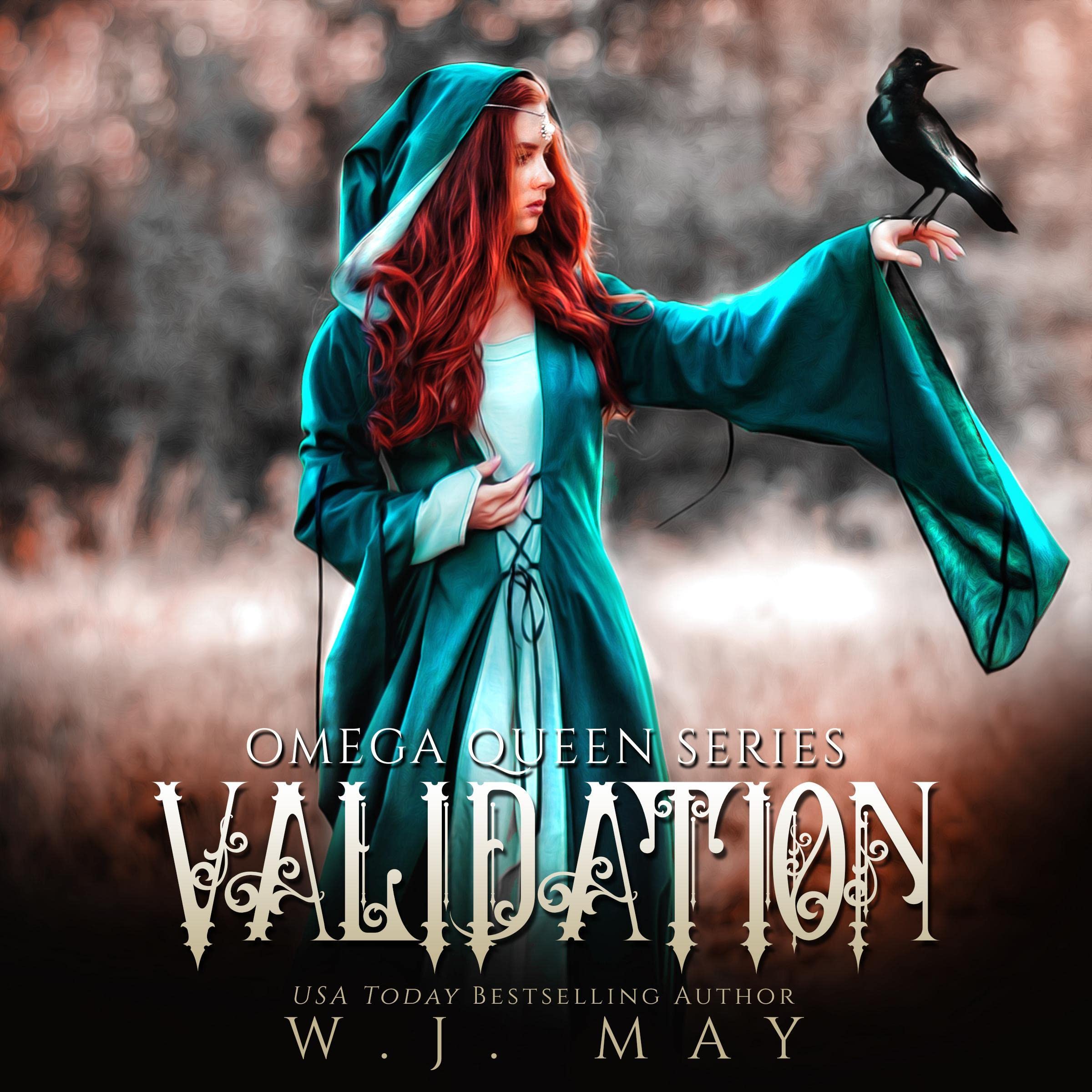 Cover art for Validation