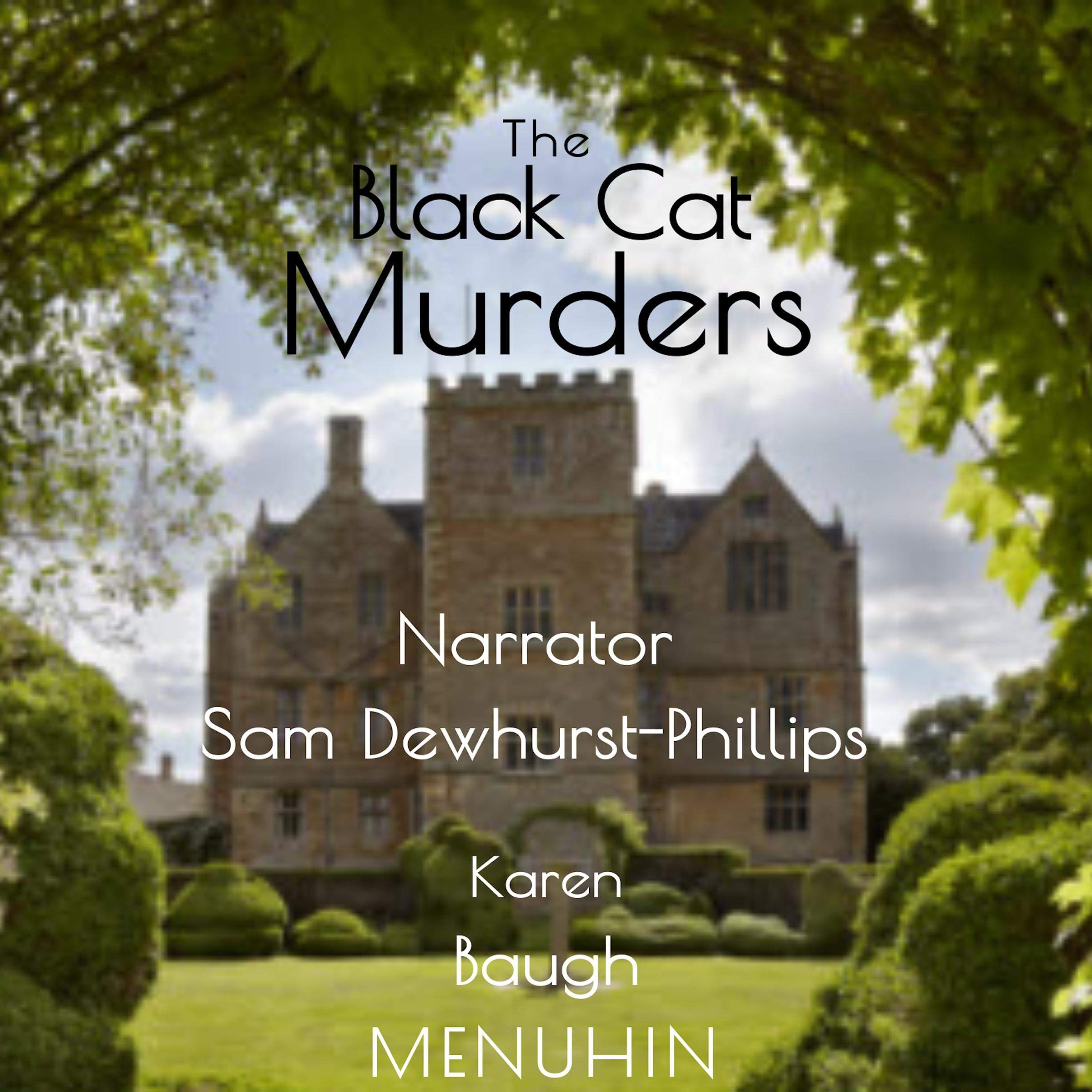 Cover art for The Black Cat Murders