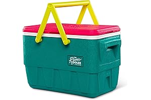 Vintage Coleman Coolers: Retro Jade 25 Qt Lunch Picnic Basket Cooler