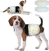 Dono Diapers for Male Dogs, 48 Pieces, Male Dog Diaper, Wet Indicator, Super Absorbent, Incontinence, Urinary Excitation, Dogs in Warmth, XS, S, M, L