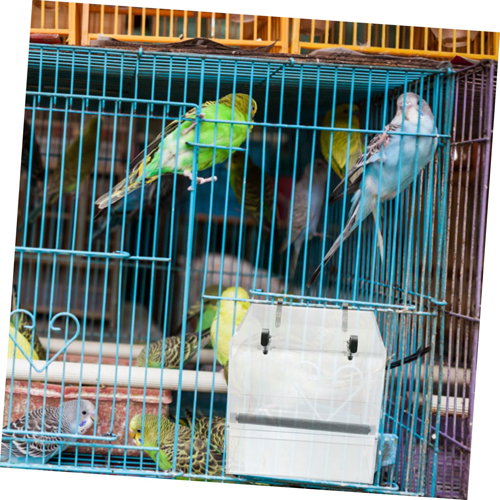 VANZACK Automatischer Papagei Futterspender Groß Acryl Futterstation Vogelkäfig Napf Hängend Leicht zu Reinigen für Wellensittiche und Kleine Vögel Zubehör