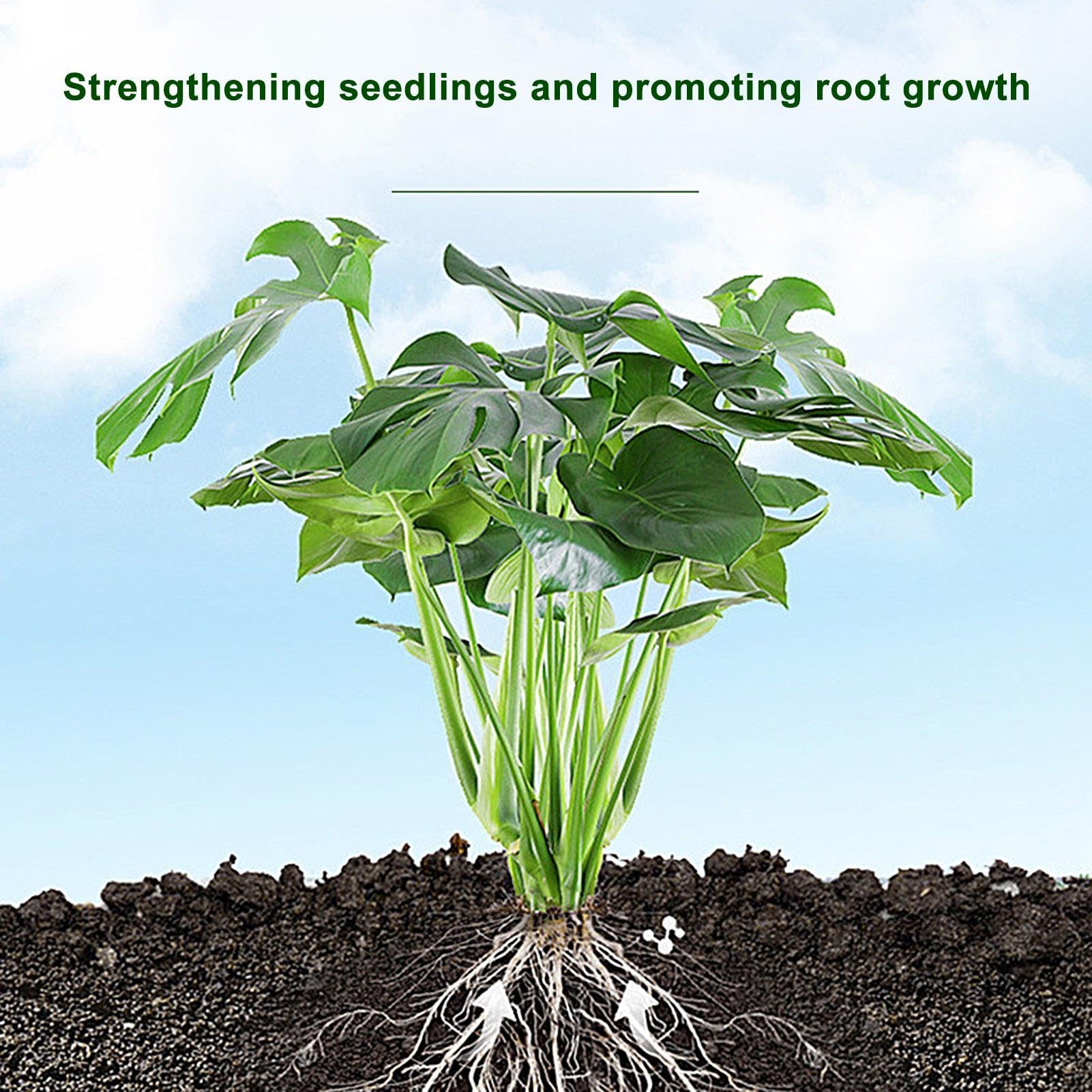 Fukamou Ormone Radicante Liquido 50 Ml - Per Talee Di Piante, Promuove Una Crescita Sana Delle Radici - Foto 12