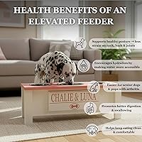 Vista 7 de GTW Soporte elevado personalizado triple para cuencos de perro para perros grandes, medianos, pequeños y extra pequeños - 3 cuencos de acero