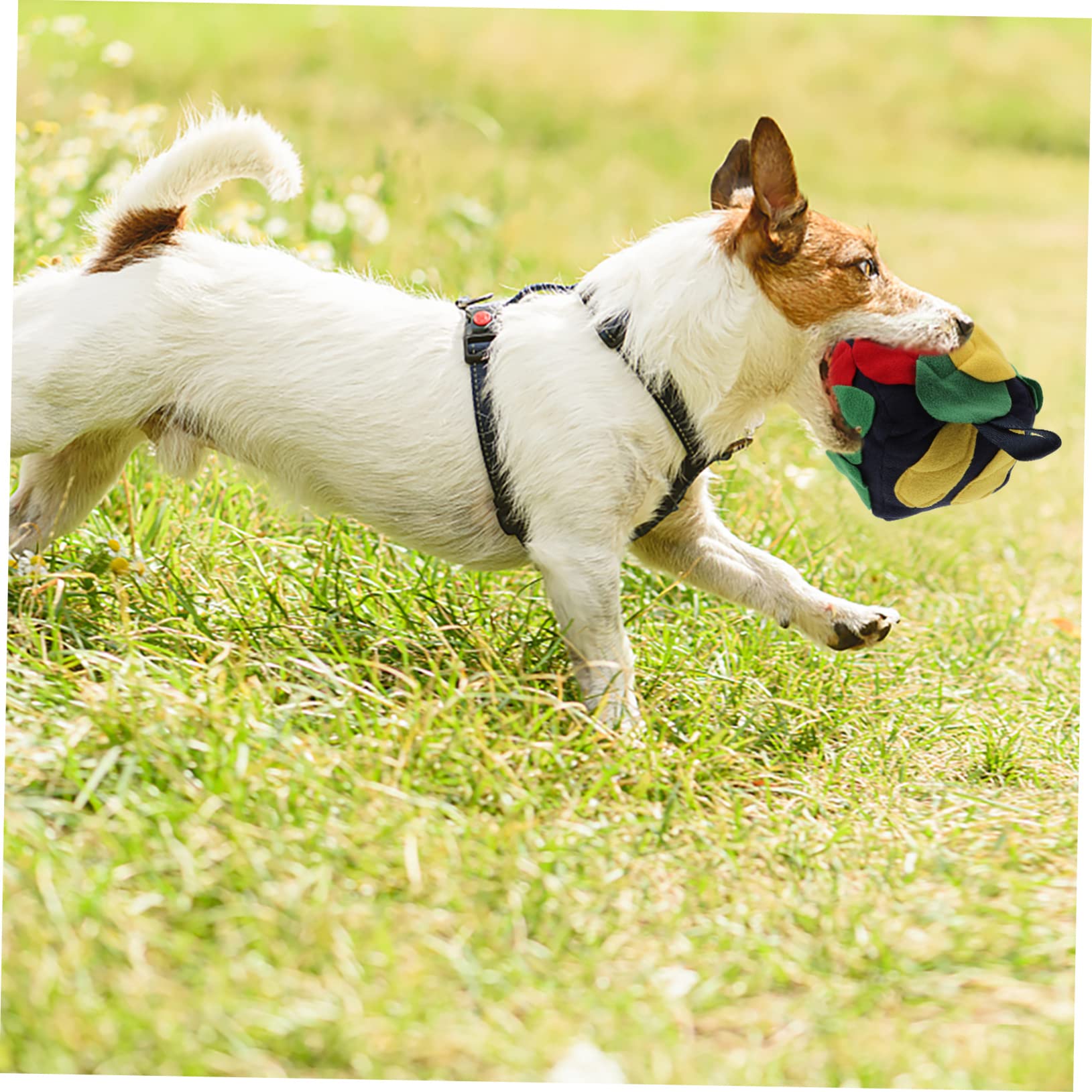 FRCOLOR 3stücke Hundeschnüffelball Interaktives Futterspielzeug Für Hunde Fördert Nasenarbeit Spielzeug Für Langsames Fressen Und Mentale Für Kleine Und Mittelgroße Hunde Retro