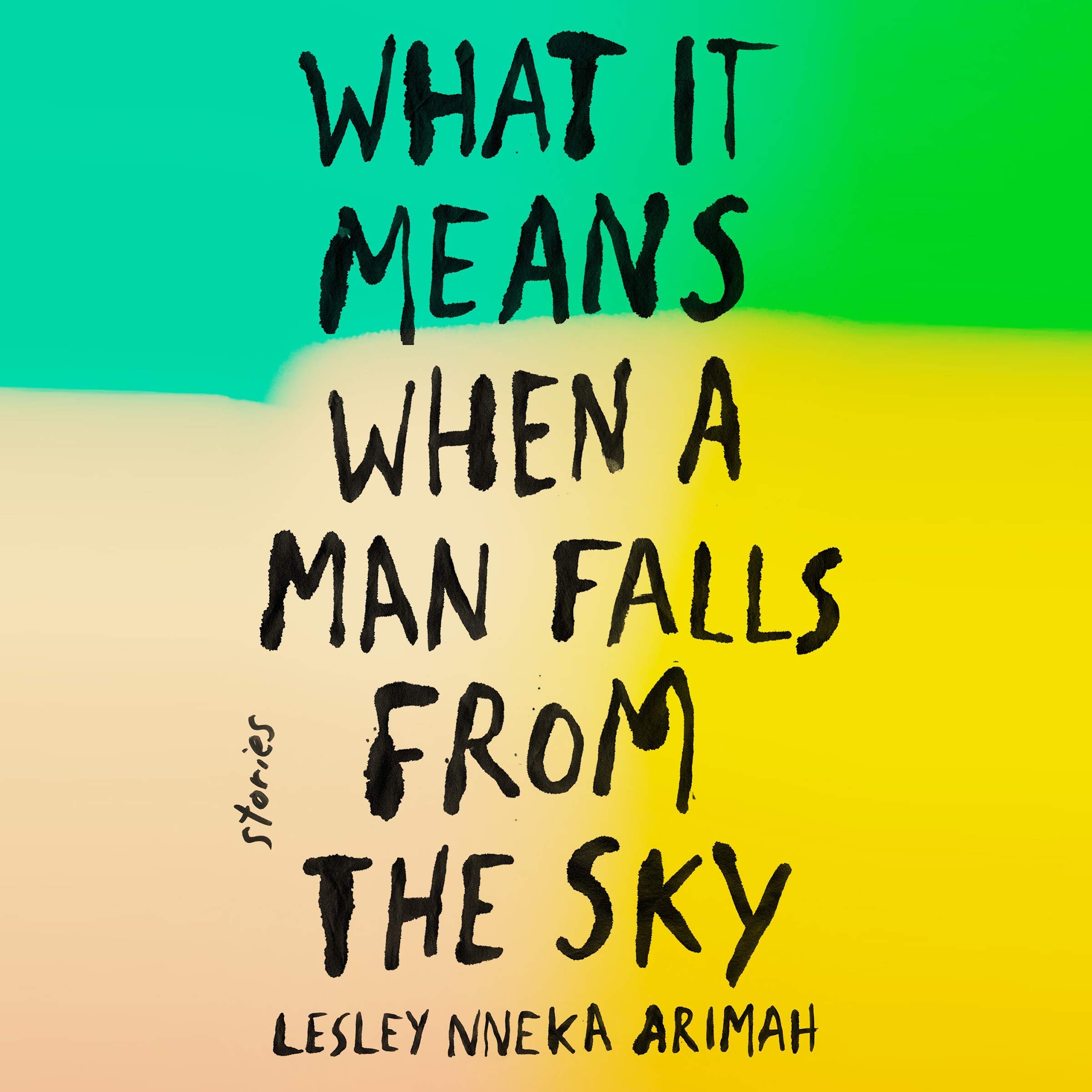 Cover art for What It Means When a Man Falls from the Sky