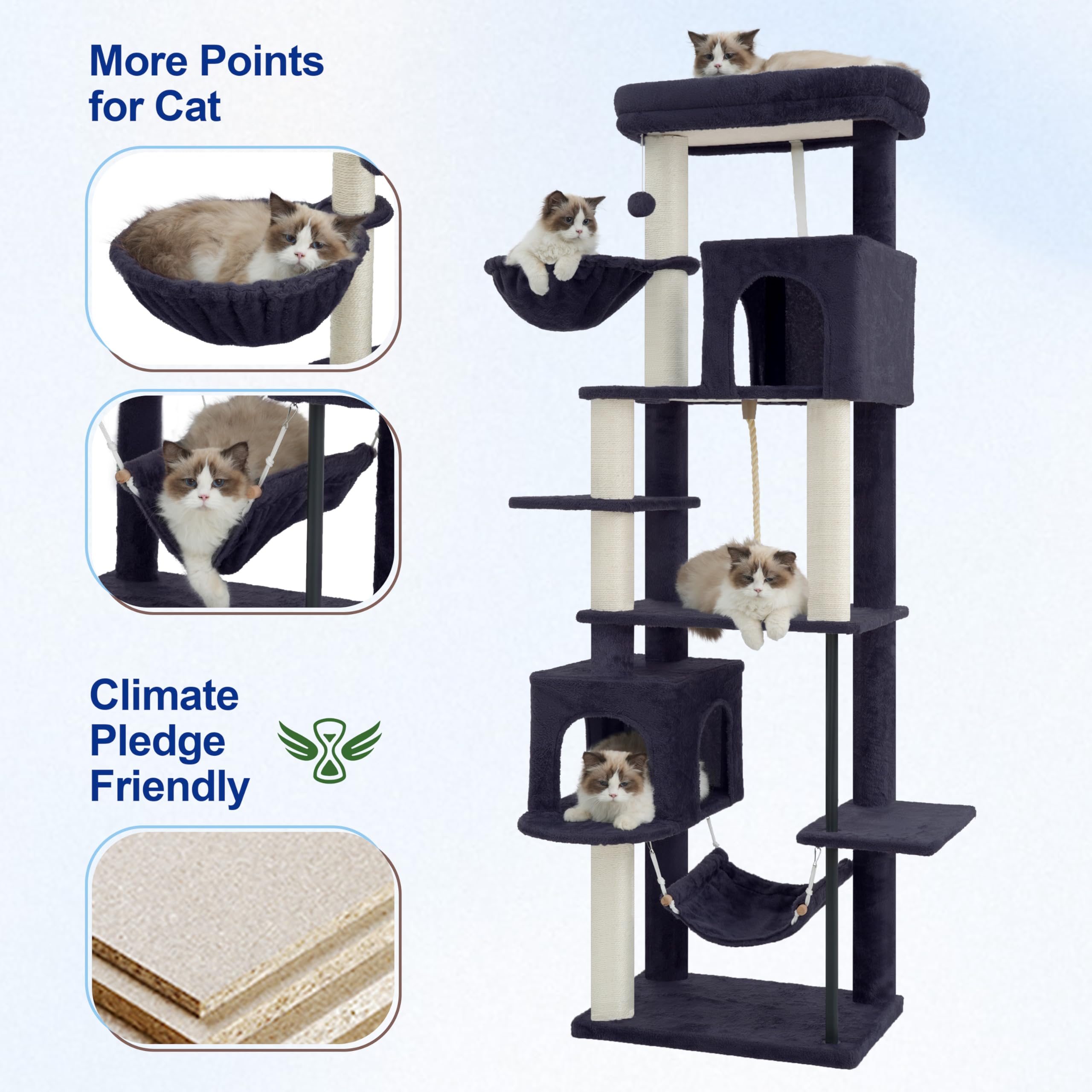 View 5