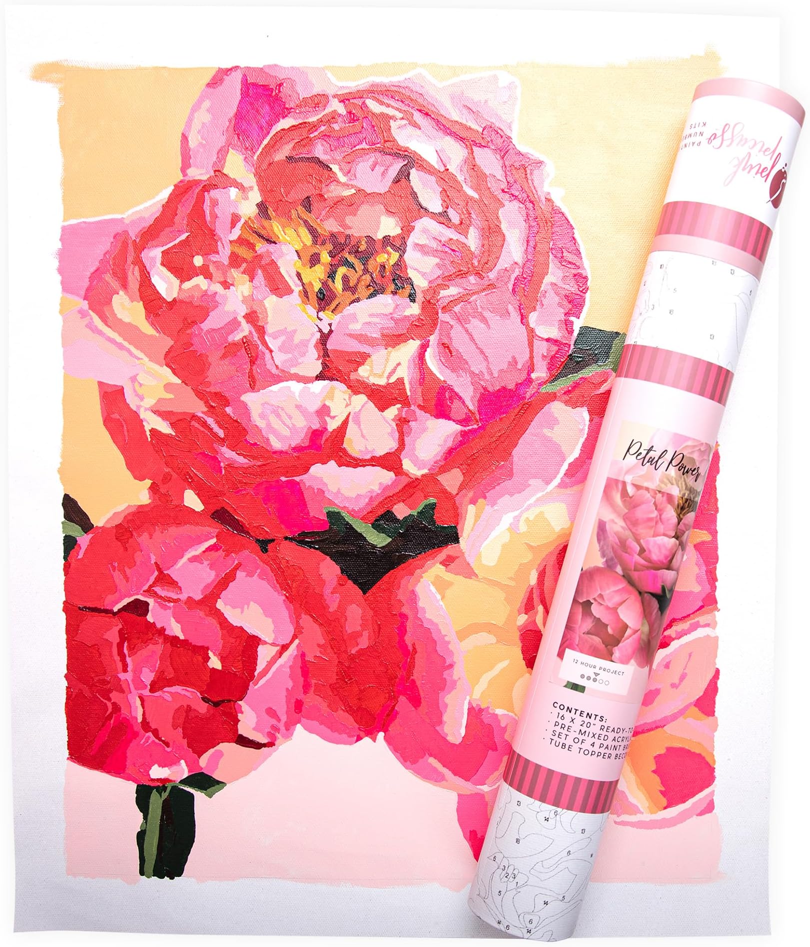 Pink Picasso Kits Botanical Floral Paint by Number for Adults &Teens | DIY Canvas 16x20 Acrylic Painting Kit Sets, Color by Numbers, Drawing, Arts & Crafts, As Seen On Shark Tank (Petal Power)