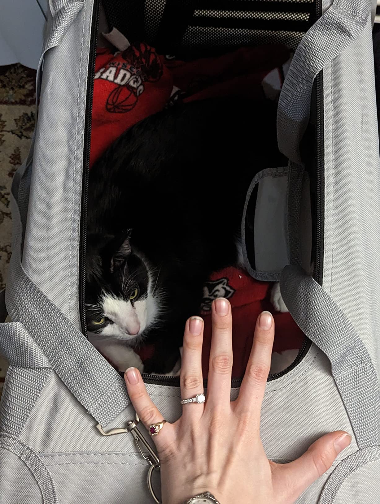 10/mo Finance Petseek Extra Large Cat Carrier Soft Sided Folding