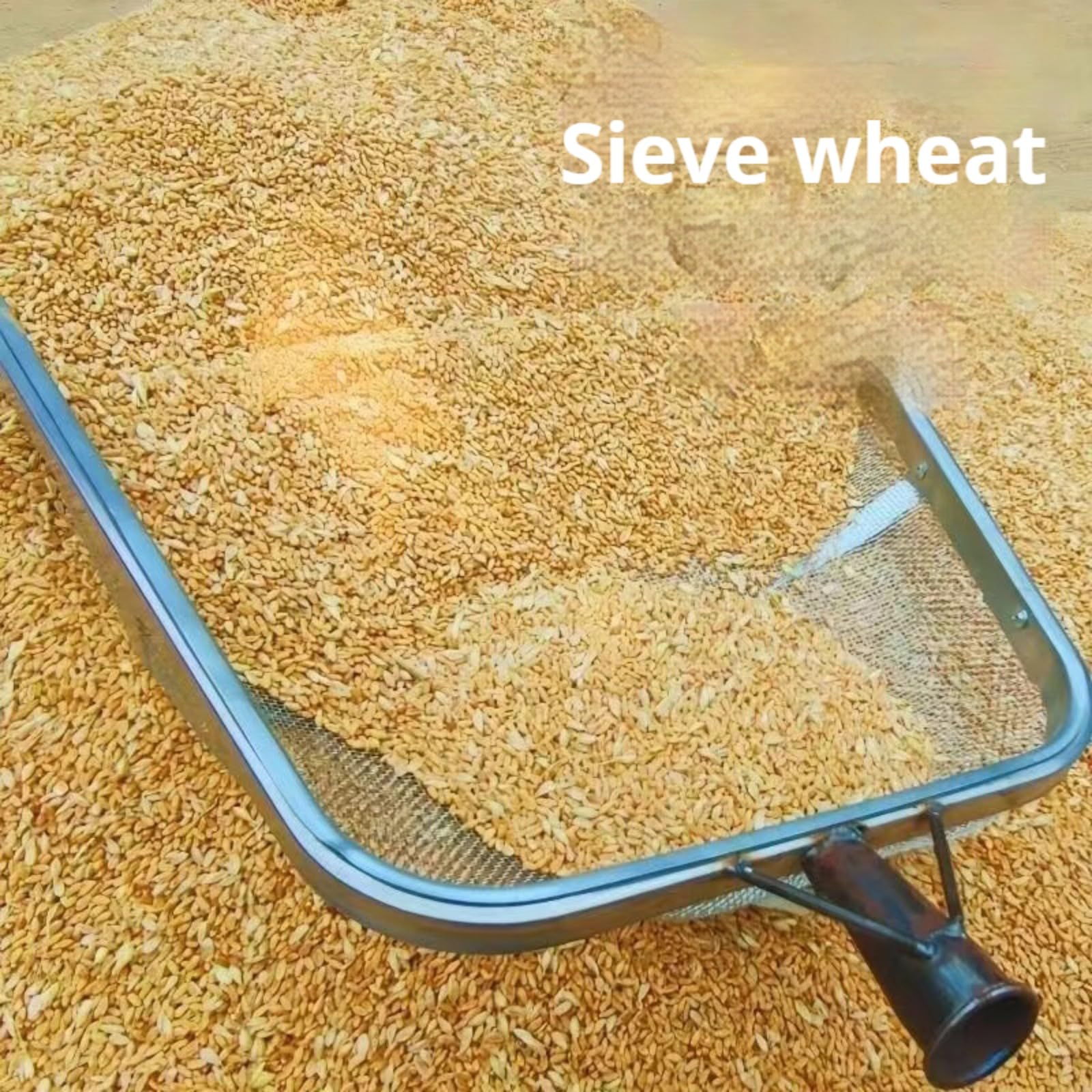 Colino da giardino per terra, pala per cereali, robusta pala in acciaio inox con manico maneggevole, colino portatile ed ergonomico, strumento di raccolta della pala per setacciare terra, sabbia,