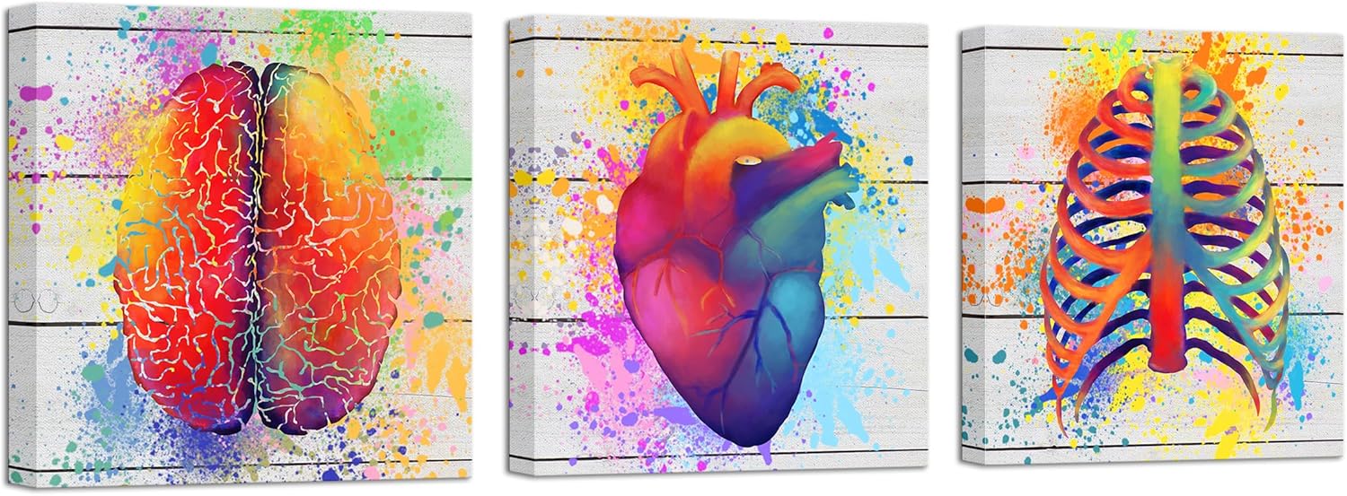 DuoBaorom Human Brain Rib Cage Heart Canvas Wall Art 3 Pieces Anatomical Artwork Clinic Medical Office Wall Decor 12"x12"
