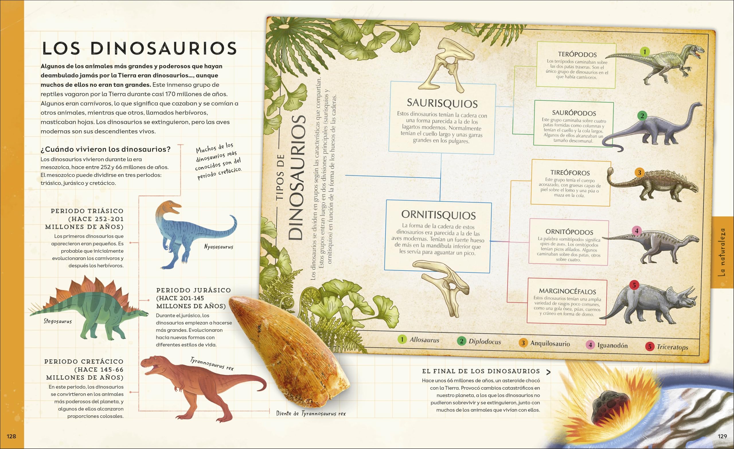 ¡Explora!: Descubre un mundo de conocimiento con cientos de mapas y diagramas (Enciclopedia visual juvenil)