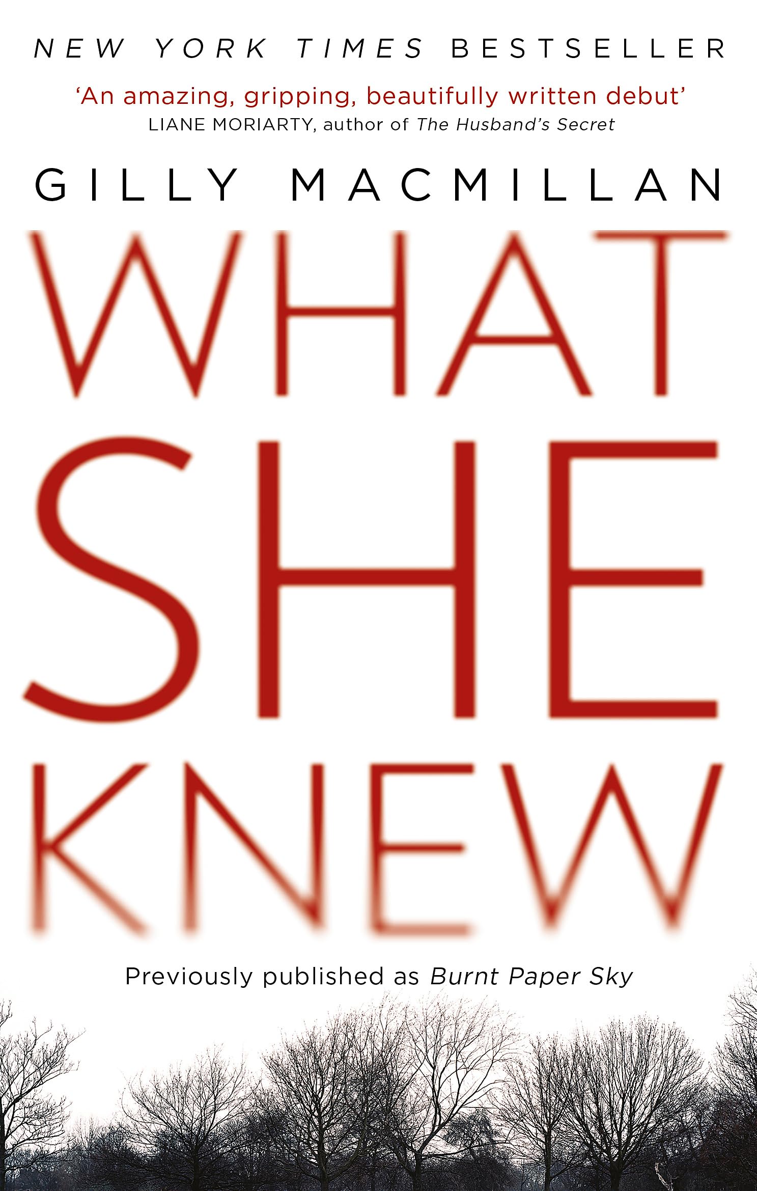 What She Knew: The worldwide bestseller from the Richard & Judy Book Club author