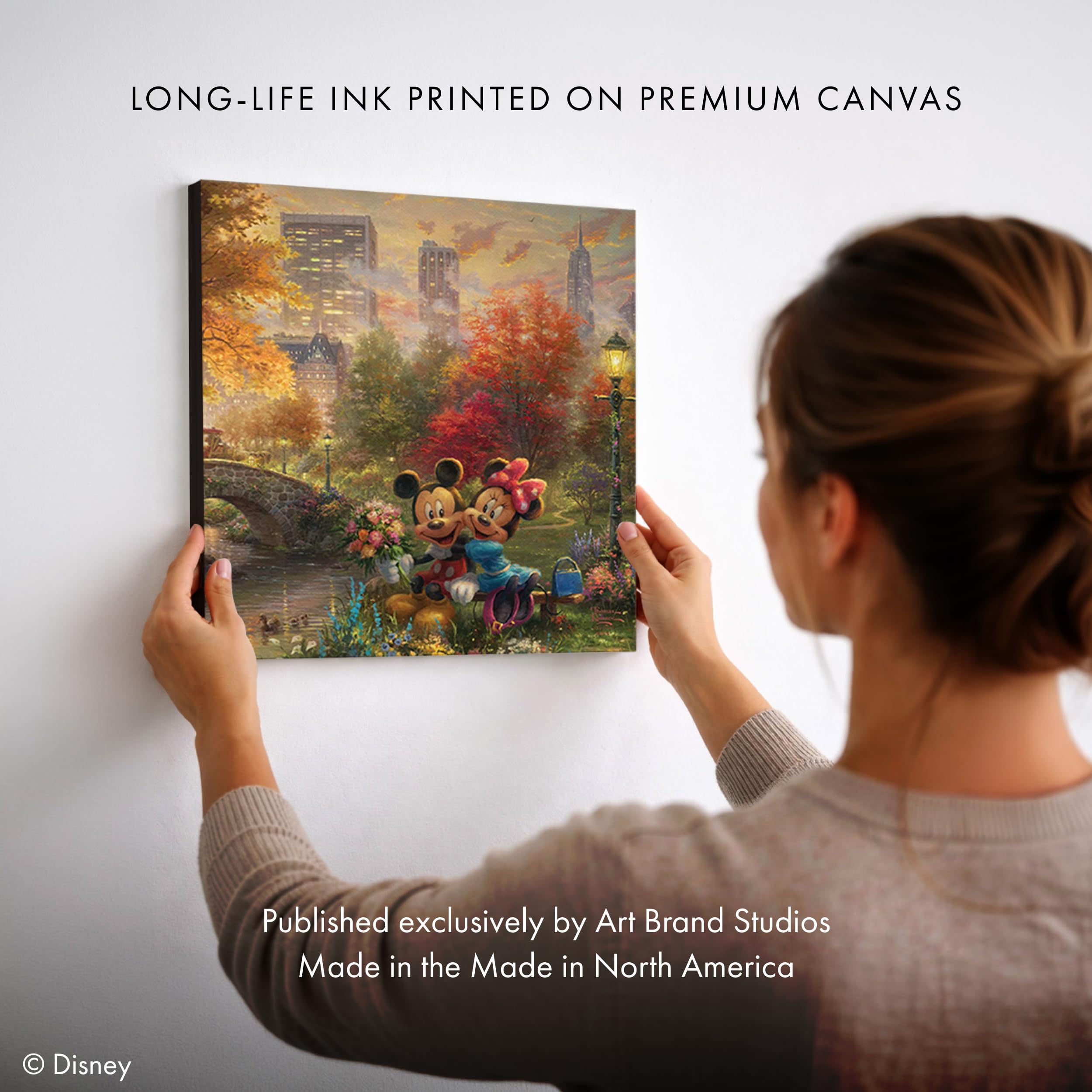 Amazon.com: Thomas Kinkade Mickey and Minnie Central Park 14