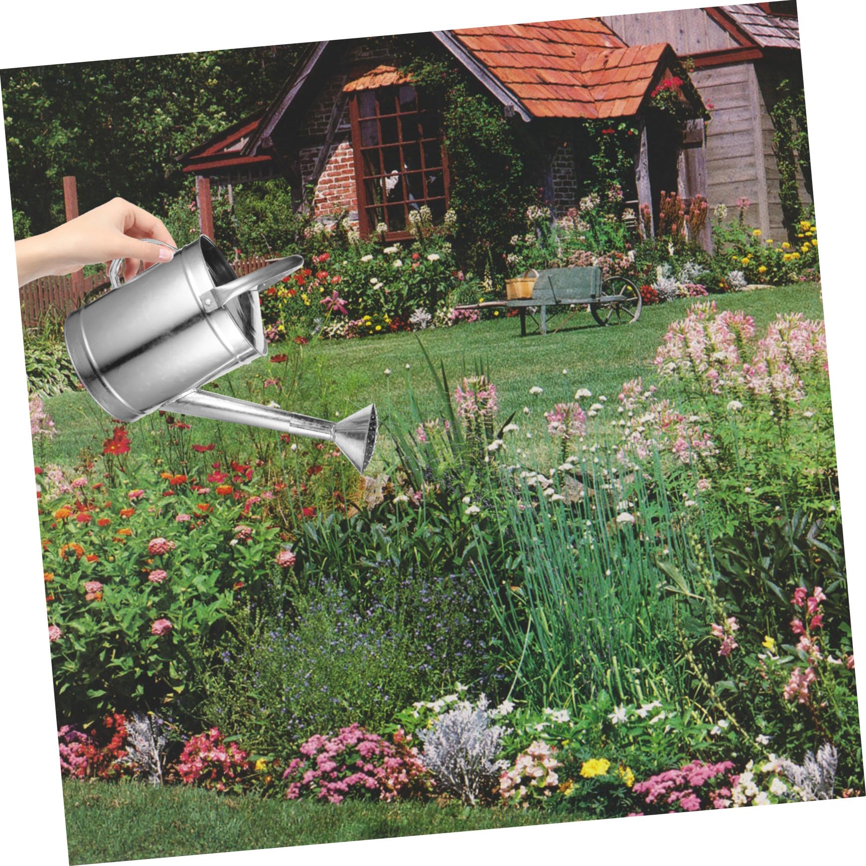 YARNOW Annaffiatoio in Ferro Beccuccio Lungo Irrigatore Da Giardino Per Piante Da Interno Ed Esterno Annaffiatoio Pratico e Resistente