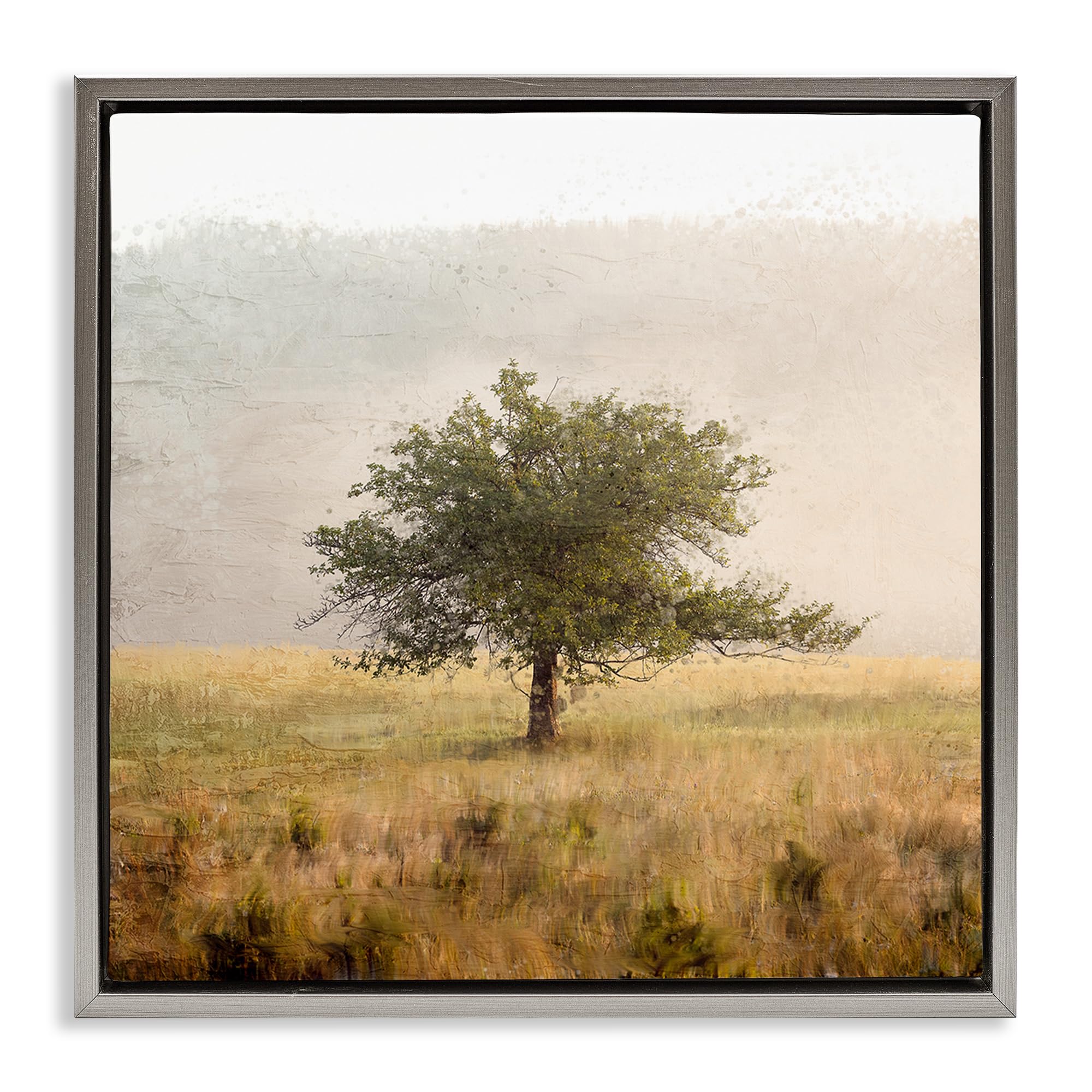 Stupell Industries Luster Gray (Matte) 'Tree Alone In Golden Field'| Floating Frame Canvas Art