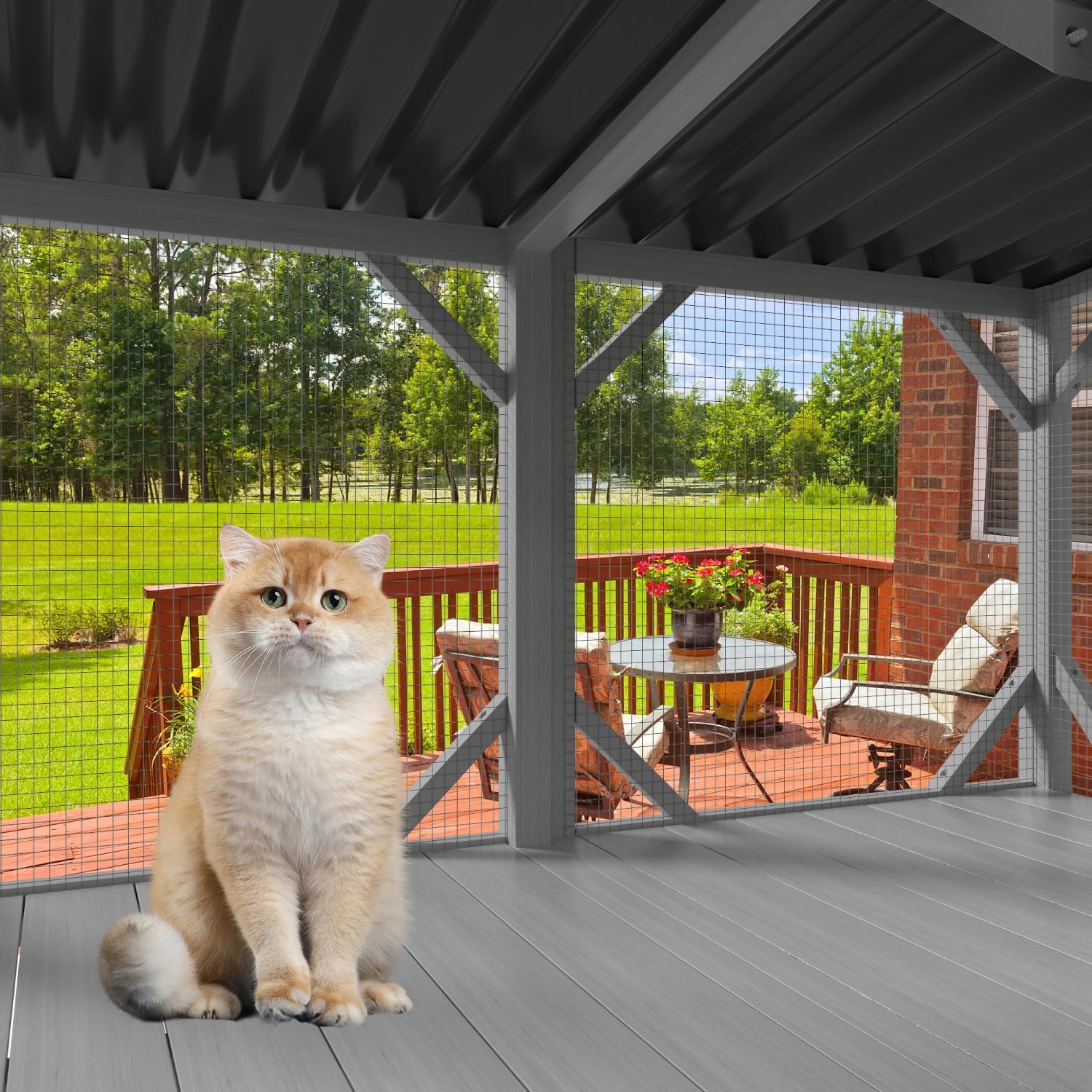 Cat Window Perch for Large Indoor Cats - for Sunbathing, Napping & Overlooking, Wooden Cat Window Hammock for Safely Enjoying The Outdoor Sights Scents and Sounds