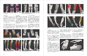 解体演書 上肢版・下肢版（3DCGソフト） プロライセンス版 解体演書 上肢版・下肢版（3DCGソフト） プロライセンス版