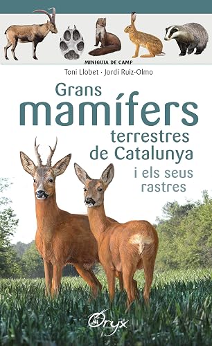 Grans Mamífers Terrestres De Catalunya I Els Seus Rastres (Miniguia de camp)