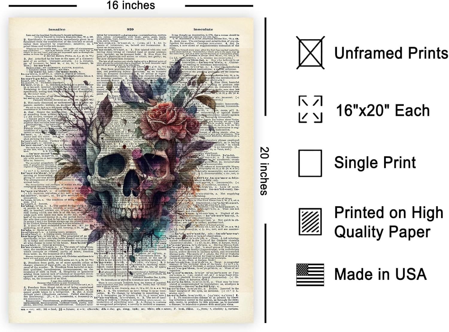 Poster Master Skull Print - Dictionary Poster - Skeleton Art - Watercolor Floral Wall Design - Gift for Men & Women - Gothic Decor for Bedroom, Dorm or Office - 16x20 UNFRAMED Wall Art