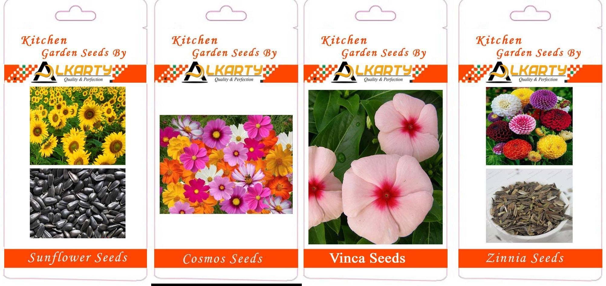 Sunflower, Cosmos, Vinca, Zinnia Summer Flower Seeds Pack of 20 Each-image-47