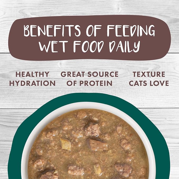 Weruva Classic Stews Cat Food, Spoil Me Stewpid! Variety Pack, 3oz Can (Pack of 18) miniatura 6