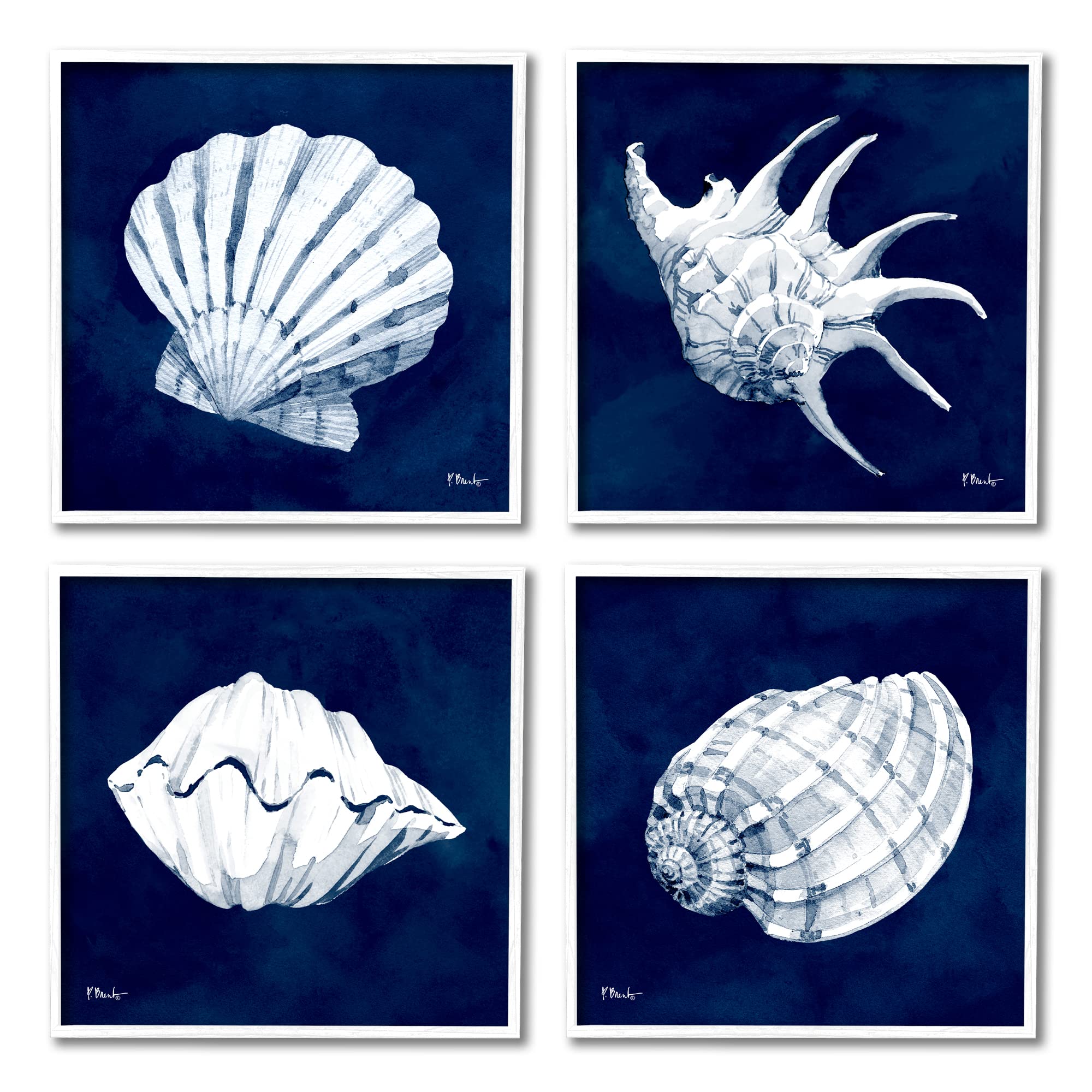 Amazon.com: Stupell Industries Traditional Cyanotype Shells 4pc