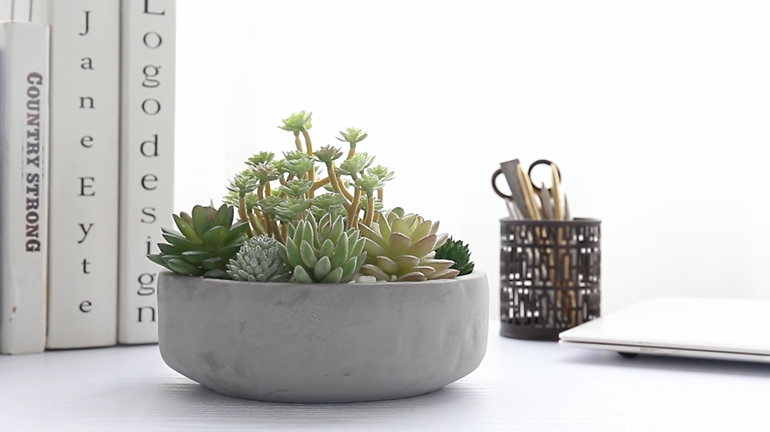 Amazon.com: MyGift 8 Inch Round Unglazed Cement Planter Pot with Drainage Hole, Decorative Gray Concrete Indoor Succulent Cactus Planter Vase Bowl - Plants not Included : Patio, Lawn & Garden